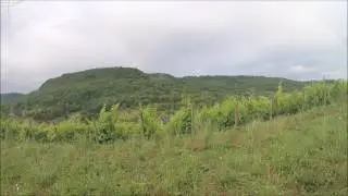 26/06/2017 Domaine Pignier
