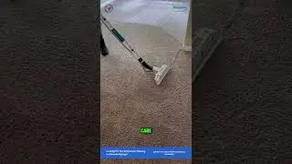 Look how Professionals remove Black Stains with Ease!! #shorts #carpetcleaningservice