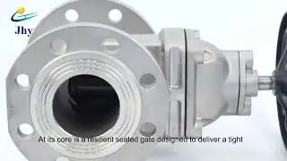 What Makes This Valve Special?---Stainless steel gate valve#gatevalve #industrialvalves