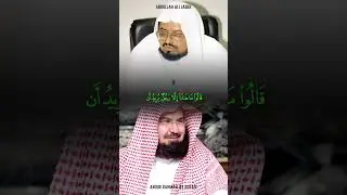 When Sheikh Ali Jaber corrects Sheikh Sudais || Surah Saba: 42 - 43 #shorts #quran