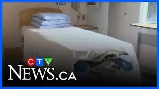 UCP 'is going to pay a price' if labour disputes aren't settled: analyst | Alberta Primetime