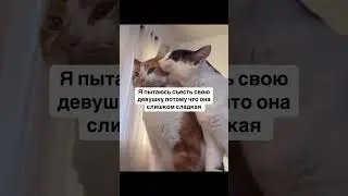Я пытаюсь съесть свою девушку потому что она слишком сладкая #dutiap #юмор #отношения