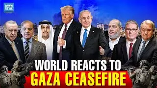 Gaza Ceasefire: World Reacts To Israel and Hamas Signing First Phase of Trump&rsquo;s Gaza Plan
