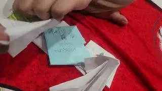 Homemade Pokemon card packs...