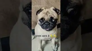 TYSON VLOG 🤣
