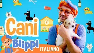 Blippi si prende cura di un cucciolo di cane 🐕🦴 | Blippi in Italiano | Video educativi per bambini