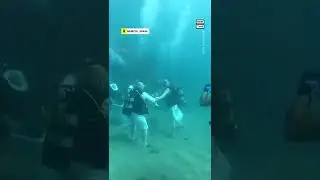 Scuba-Loving Couple Gets Married Underwater 💍🐠