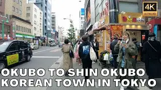 [4K60]Walking Tokyo | Okubo & Shinokubo (Jan 23, 2022)