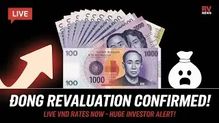 VND Revaluation Confirmed &ndash; Live Rates Out Now! Major News for Global Currency Watchers 🔥🇻🇳