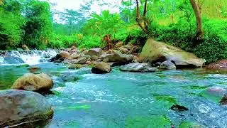 Restorative Forest River Ambience in Secluded Nature for Deep Sleep and Healing Rest