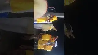 श्री विठ्ठल बिरदेव ओविकार मंडळ वसगडे 