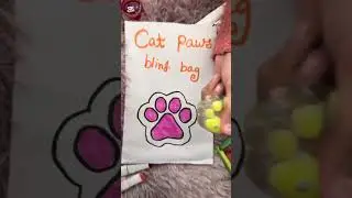 Cat paws blind bag| blind bag ASMR | Wazna’s art and craft 
