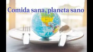 The Planetary Health Diet, in detail