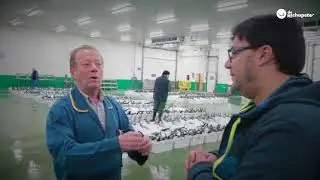 Bonito de Burela y Merluza del Pincho