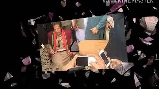 PTI WhatsApp status