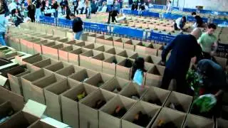 קבוצת שורשים קמחא דה פסחה - Shorashim Group 2011
