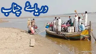 Fish Party with Friends at River Chenab||Fishing largest Fish in Punjab|| Boating in River Chenab