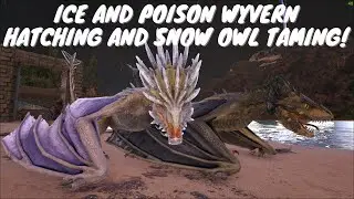 Wyvern-Hatching and Snow Owl Taming! | Episode 6 | Lost Island | Ark Evolved | @caberzikis