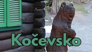 Hiking in Slovenia's bear country 🐻