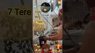🆕🪔Tulsi Mata 🪔 Viva🪔#video#fast⏩virel#rumale meena 7100. 🪔🎎🙏🎇