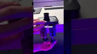 Cepter Flex