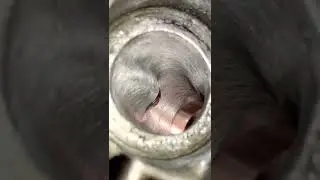 Engine Head exhaust port and seat polishing.