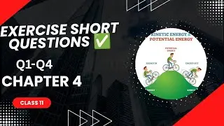 CHAPTER 4 Exercise Short Questions  Q1-Q4✅Class 11 🏀 New Syllabus 2025📍By Grip on Physics 📍