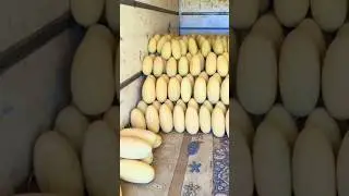 Дыня Торпедо 🍈🍈🍈 +7(912)847-52-01 WA/TG