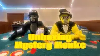 Unboxing Mystery Monke