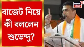 Suvendu Adhikari | বাংলার শিল্পকে ত্বরান্বিত করবে কেন্দ্রের বাজেট, দাবি শুভেন্দুর | Bangla News