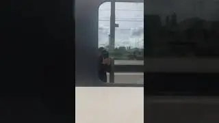 Optokinetic Stimulus Train 3