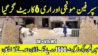 super munji rate today|irri 6 rice price in pakistan today|hybrid munji ka rate today.