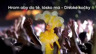 Hrom aby do tě, l&aacute;sko m&aacute; - Divok&eacute; kočky