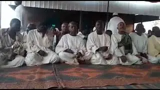 #المكاشفيه | قصيدة شيخ نورين هب لي نسيم شوقي | ✨