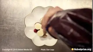 TIMELAPSE: Coffee and almond flavoured cherry blossom, a mayflower-inspired dessert