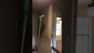 SERVPRO of Olmos Park Mold Remediation
