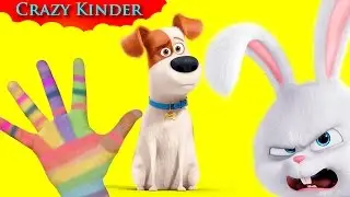The secret life of pets finger family nursery rhymes crazy kinder
