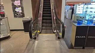 Montgomery Escalators @ Dillard's Women - Penn Square Mall - Oklahoma City, OK
