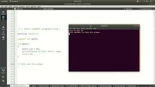 2  Basic Typedef: programe using c