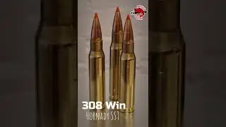 308 Win. Hornady SST. #нашиохотыирыбалки #gun #охота #hunting