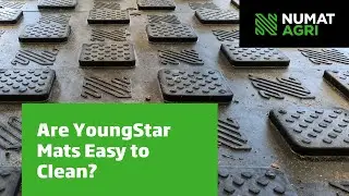 Is YoungStar easy to clean?