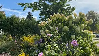 Mid September Garden Tour 💖🌸💖2025🇨🇦