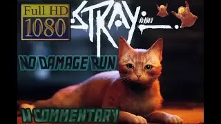 STRAY - No Damage Run