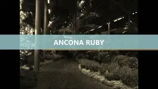 ANCONA RUBY