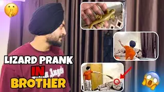 LIZARD PRANK ON BROTHER😰VERY DANGEROUS | Gone wrong😱