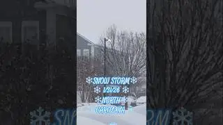 Зимняя буря #зимняябуря #шорты