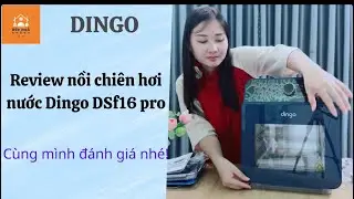 Review nồi chi&ecirc;n hơi nước Dingo DSF16 pro, mẫu mới nhất, cải tiến nhiều nhất