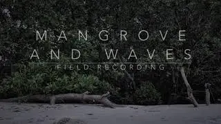 [Nature Soundscape Audio] Mangrove and waves, Pulau Indah