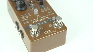 CKK Electronic Fluid Time MKII Analog Delay