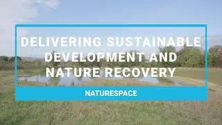 Blueprints and Biodiversity | NatureSpace | CIOB | The Nature of Building